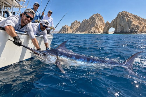 Cabo San Lucas Pesca