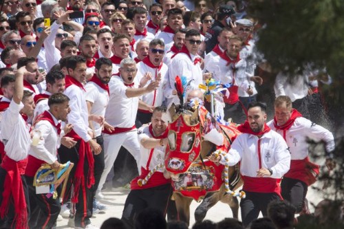 Festival de San Fermín (Encierro)