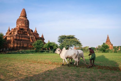 Bagan