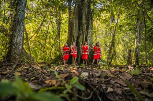 Floresta Amazônica Peruana
