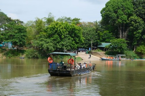 Taman Negara