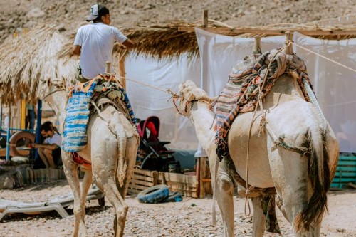 Dahab