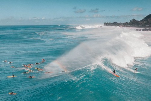 Oahu - North Shore Surf