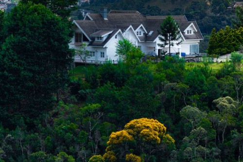 Campos do Jordão