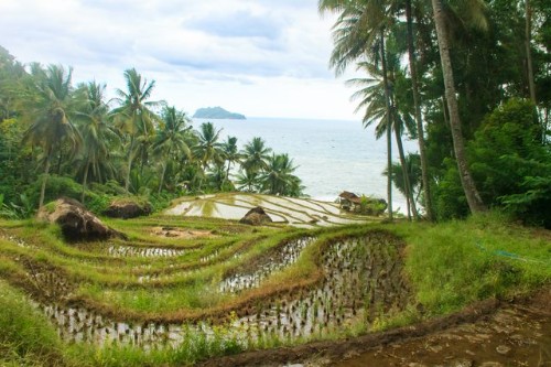 Bali