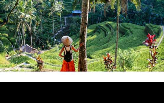 QIN807 -  5 DIAS BALI CLASSIC